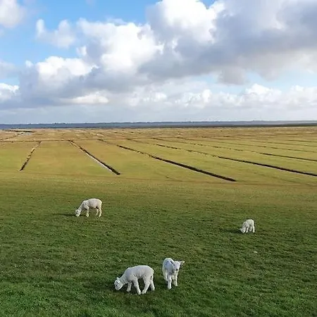 בית נופש Nordlicht נורדסטרנד
