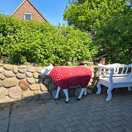 Nordlicht נורדסטרנד