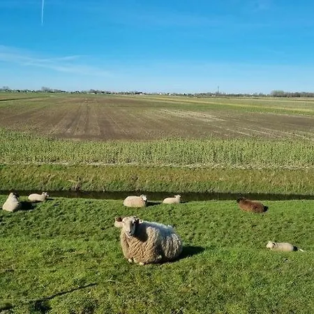 Nordlicht בית נופש