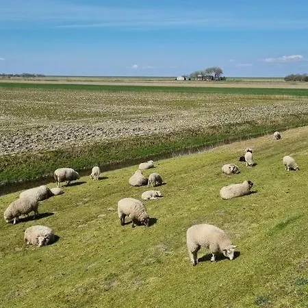 בית נופש Nordlicht *